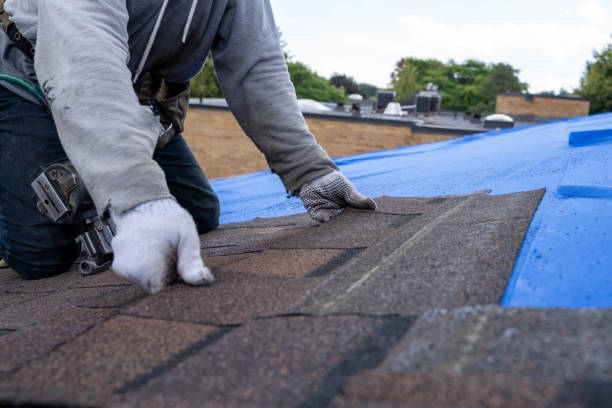 Best Roof Leak Repair  in Aurora, IN
